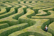 lost_in_the_maze