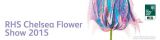 rhs-chelsea-flower-show-v-londyne 418d6