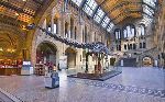 Výstava Treasures v londýnskom Natural History Museum