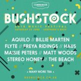 bushstock-festival-londyn-3 1ca38