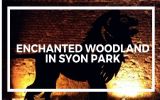 Syon Park's Enchanted Woodland