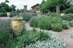 Záhrady Hestercombe