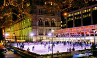 natural-history-ice-rink_200px.jpg