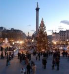 Vianočný stromček na Trafalgar Square