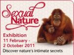 thumb_vystava-sexual-nature-v-natural-history-museum