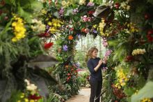 Výstava tropických kvetín v Kew Gardens