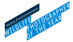 wildlife-photographer-of-the-year
